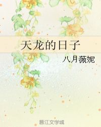 天龍的日子小说封面