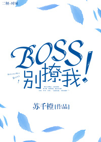 Boss別撩我！小说封面